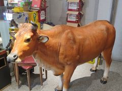 -林记潮牛·牛肉火锅(上马墩店)