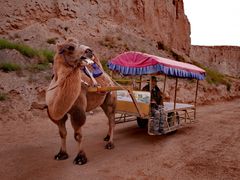 -镇北堡西部影城