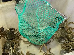 -黄记大闸蟹专卖店·活蟹·醉蟹