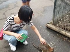 -费瑟代尔野生动物园