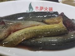 泥鳅-木萨火锅店(开鲁路店)