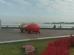 -野狸岛