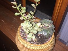 -渔堂公园餐厅·本帮菜(乐园路店)