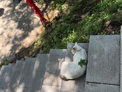 -秦岭终南山世界地质公园翠华山景区