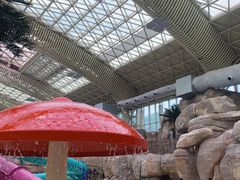 -杭州开元森泊度假乐园