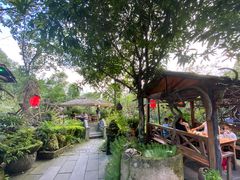 -青城甲(青城山店)