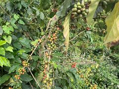 -后谷咖啡(建设巷店)