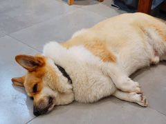 -阿木舂记·特色小吃(平江路店)