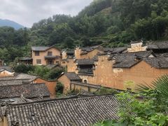 -杨家堂村