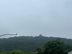 -呼吸森林·生态农庄农家乐私房菜