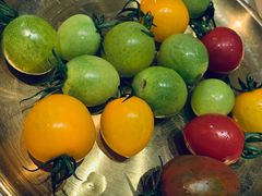 -花菇朵 ll 野生菌锅·精品滇菜(后沙峪店)