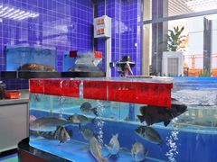 -明本湛江鸡•海鲜小厨(陈家祠店)