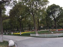 iphone_upload_pic-上海鲜花港