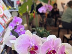 -ABCD咖啡屋(妇幼店)