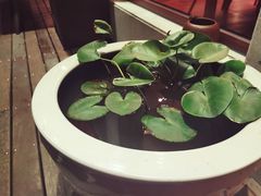 -湖畔居茶楼(湖滨店)