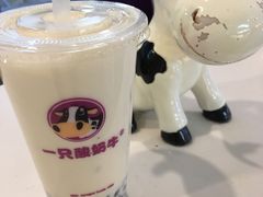 -一只酸奶牛(百联南岸上海城店)