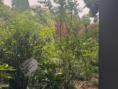 -兰溪青年公园
