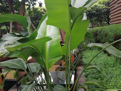 -德克士(砂之船奥特莱斯店)