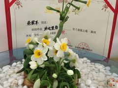 -龙大花卉苗木市场