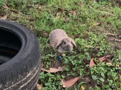 -美家乐农庄·露营·团建(大治路店)