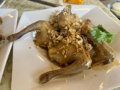 -百利鸽王(紫薇路店)