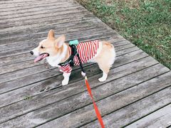 -上海海湾国家森林公园