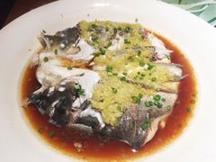 鱼头诱惑-绿茶餐厅(布吉万象汇店)