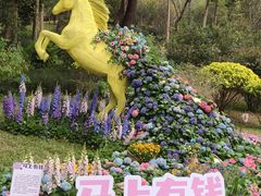 -云溪植物园