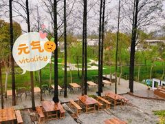 -前小桔亲子创意农场·草莓采摘·露营烧烤