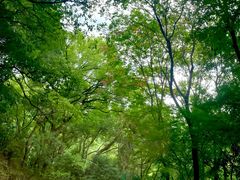 -西湖风景区-江洋畈生态公园