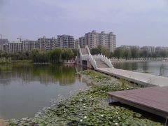 android_upload_pic-红莲湖