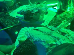 -欢乐迪KTV(江南店)