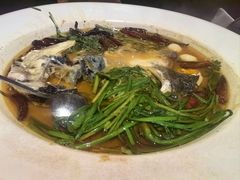 -清水亭湖北菜(大屯DT51店)