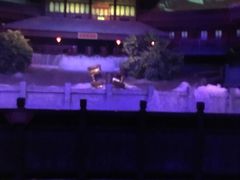 -郑州方特梦幻王国