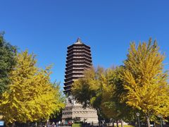 -玲珑塔公园