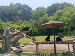 -宁波野生动物园