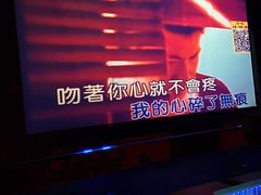 -V SHOW max KTV(粉巷店)