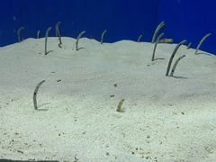 -上海海洋水族馆