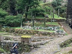 -MOJ coffee(瓯海泽雅水碓坑店)