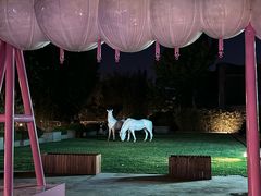 -春晖园度假酒店温泉