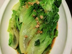 豉油生菜-佬肥猫(国华广场店)