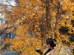 -腾爱熊猫咖啡生活馆(老东门店)