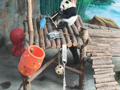 -青藏高原野生动物园