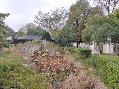-徐州龟山景区