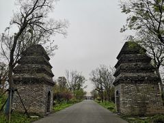 -广富林郊野公园