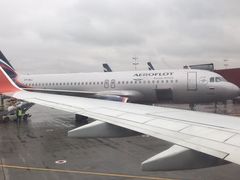 -谢列梅捷沃国际机场