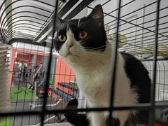 -SAH健身私教工作室(紫东店)