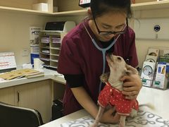 -芭比堂动物医院·犬猫全科·异宠专科(雁塔分院)