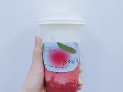 -喜茶(广州北京路惠福东店)