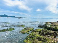 -海源公园
